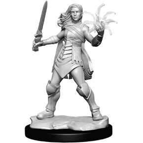 Magic: The Gathering Unpainted Miniatures: Rowan Kenrith & Will Kenrith