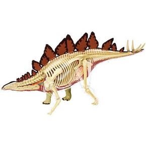 Famemaster 4D Vision Stegosaurus Anatomy Model