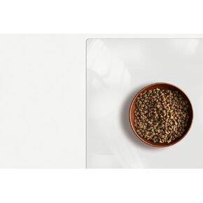 Pet Bowl Mat, USA Made, Safe, Waterproof, 16 x 24 Inch, 2mm Thick Smooth Vinyl, Clear Litter Box Protection Mat, Under Tank Liner