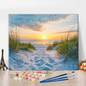 Rebotipy Anilmal and Flowers Paint by Number for Adults Scottisch Highland Cow Paint by Numbers for Adults Beginner Drawing Paintwork with 3 Paintbrushes Paint Canvas Oil Painting 16" x 20"