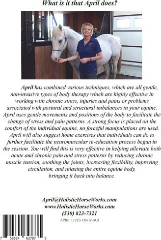Holistic Horseworks “Level 1: Equine Musculoskeletal Unwinding" DVD Course - Certified Horse Massage Therapy Technique - Earn a Certificate of Completion - For Novice and Pro Horse Lovers in Saudi Arabia