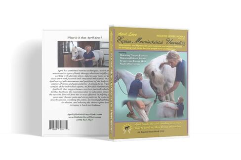 Holistic Horseworks “Level 1: Equine Musculoskeletal Unwinding" DVD Course - Certified Horse Massage Therapy Technique - Earn a Certificate of Completion - For Novice and Pro Horse Lovers in Saudi Arabia