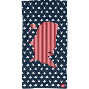 Sprints Athletic Running Towel, Full-Sized, Car Seat Cover - Performance Microfiber… (Boris's Aurora Light Show)