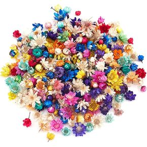 200 Pcs Mini Natural Dried Flowers, Small Dried Flowers Heads Natural Brazil Little Star Flowers for DIY Crafts Candle Making Epoxy Resin,Mixed Color