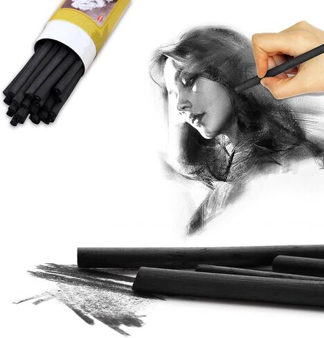 25 Pcs Charcoal Pencils,Vine Charcoal,Black Artist Vine Charcoal Willow Charcoal Sticks The Art of Drawing and Painting for Artists, Beginners, and Students(4-5mm) in Saudi Arabia