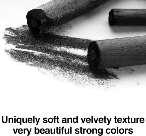 25 Pcs Charcoal Pencils,Vine Charcoal,Black Artist Vine Charcoal Willow Charcoal Sticks The Art of Drawing and Painting for Artists, Beginners, and Students(4-5mm) in Saudi Arabia