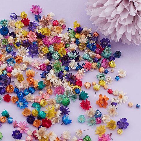 200 Pcs Mini Natural Dried Flowers, Small Dried Flowers Heads Natural Brazil Little Star Flowers for DIY Crafts Candle Making Epoxy Resin,Mixed Color in Saudi Arabia