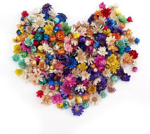 200 Pcs Mini Natural Dried Flowers, Small Dried Flowers Heads Natural Brazil Little Star Flowers for DIY Crafts Candle Making Epoxy Resin,Mixed Color in Saudi Arabia