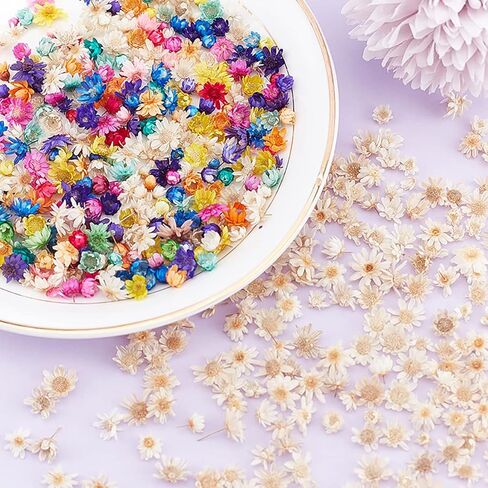 200 Pcs Mini Natural Dried Flowers, Small Dried Flowers Heads Natural Brazil Little Star Flowers for DIY Crafts Candle Making Epoxy Resin,Mixed Color in Saudi Arabia