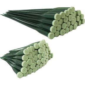 75 قطعة من أنابيب المياه من ASUNFO، أنابيب مياه جذعية من الزهور مع أغطية مطاطية لترتيبات الزهور، مستلزمات بائعي الزهور (12 بوصة، 6 بوصة) in Kuwait