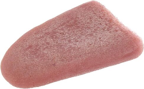 Funny Prank Surprise Box with Spider,Simulation Cockroach,Fake Long Tongue,Fake Finger Through Nail,Suit for Adults and Kids Family Funny Toys Box (13-Pack) in Kuwait