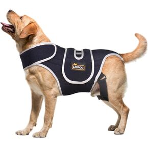 Dog Back Brace for IVDD and Slipped Disc, Dog Back Brace for Large Dogs, IVDD and Herniated Disc Support - Spinal Stability and Pain Relief XL