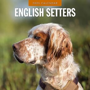 Red Robin 2025 English Setters Monthly Wall Calendar | 12" x 24" Open | Premium Thick & Sturdy Paper | Hangable 12 Month Calendar | Plastic Free | 4 Month Transition Page for 2024
