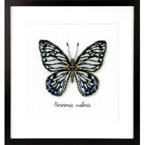 Vervaco Blue Butterfly Counted Cross Stitch Kit, Multi-Colour