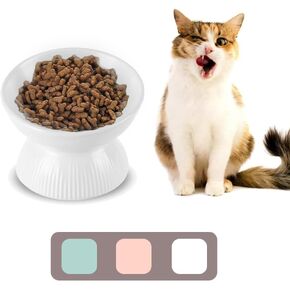 Ceramic Raised Cat Food Bowl - Tilted Elevated Cat Bowl Anti Vomit - 6.1 inch Extra Wide Shallow Cat Feeding Bowls Whisker Friendly - Cat Dishes for Dry Wet Food - Microwave and Dishwasher Safe - 9 oz