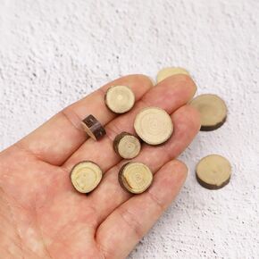 Miniature Stepping Stones, Natural Real Wood Slices, Fairy Garden Stepping Stones, Dollhouse Tiny Stepping Stones, for Miniature Fairy Garden, Gnome Terrarium, Model Railroad Decoration (10PCS)