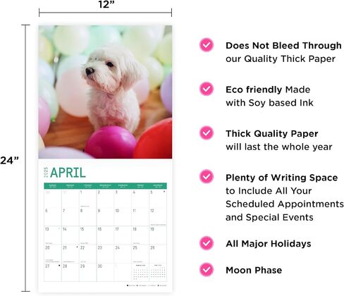 2025 Maltese Monthly Wall Calendar by Bright Day, 12 x 12 Inch Cute Dog Breed Gift in Saudi Arabia