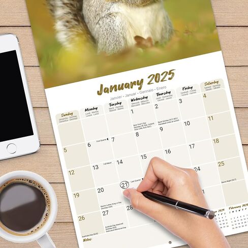 تقويم حائط السناجب لعام 2025، مقاس 12 × 12، منشورات أفونسايد in Kuwait