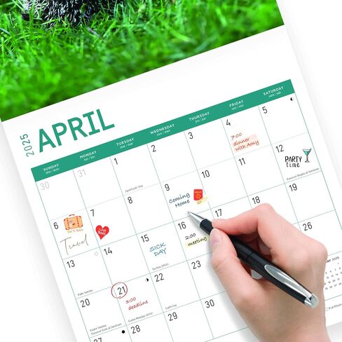 2025 Hedgehogs Monthly Wall Calendar by Bright Day, 12 x 12 Inch Cute Nature Photography Gift in Saudi Arabia