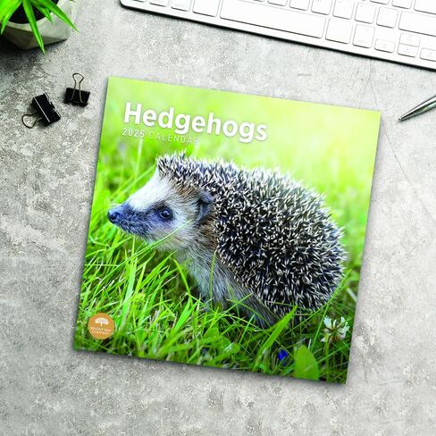 2025 Hedgehogs Monthly Wall Calendar by Bright Day, 12 x 12 Inch Cute Nature Photography Gift in Saudi Arabia
