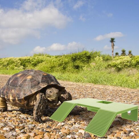 Kisangel Turtle Basking Platform Turtle Terrace Tortoise Climbing Platform Plastic Bask Resting for Aquarium Tank Habitat Equipment in Saudi Arabia