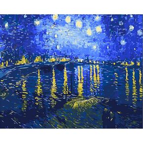 Meecaa Paint by Numbers XXXX Kit for Adults Beginner DIY Oil Painting 16x20 inch (Longhe Starry Sky, No Frame)