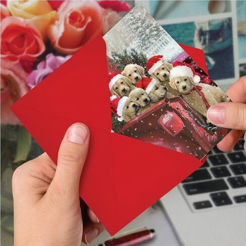 مجموعة من 12 بطاقة تهنئة للكلاب من شركة The Best Card Company مع مظاريف مقاس 5 × 7 بوصة (تصميم واحد، 12 لكل منها) جرو شاحنة حمراء - ذهبي C3375BXSG-B12x1 in Saudi Arabia