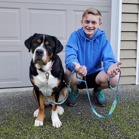 Buttonsmith Old Glory Dog Leash - Fadeproof Permanently Bonded Printing, Extra Heavy Duty Quick Clasp - Made in The USA in Saudi Arabia