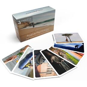 metaFox - Coaching picture cards - coaching cards for positive psychology - impulse cards for coaching, therapy and workshops - motivation cards for reflection in Kuwait