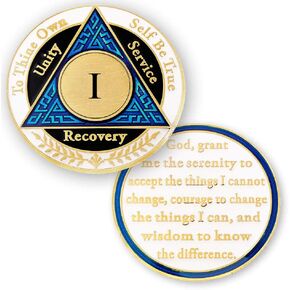 1 Year AA Medallions Coin - Alcoholics Anonymous Chips - One Year Coins - Blue Black White Token