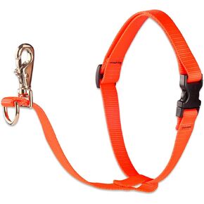 LupinePet Basics 1" Blaze Orange 26-38" No Pull Harness for Medium-Larger Dogs