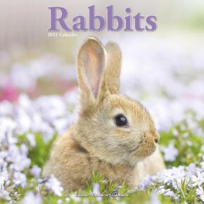 2025 Rabbits Wall Calendar, 12X12, Avonside Publishing