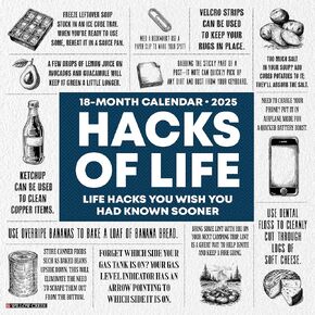 Willow Creek Press Hacks of Life Monthly 2025 Wall Calendar (12" x 12")