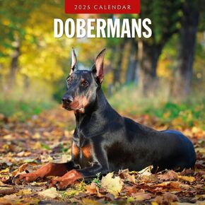 Red Robin 2025 Dobermans Monthly Wall Calendar | 12" x 24" Open | Premium Thick & Sturdy Paper | Hangable 12 Month Calendar | Plastic Free | 4 Month Transition Page for 2024