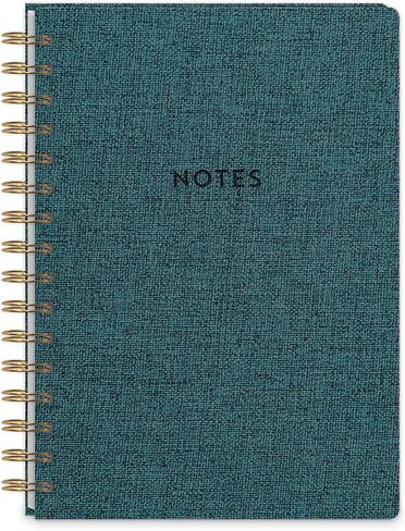 Punch Studio Molly & Rex Mixed Media Teal Spiral Journal (38282) in Kuwait