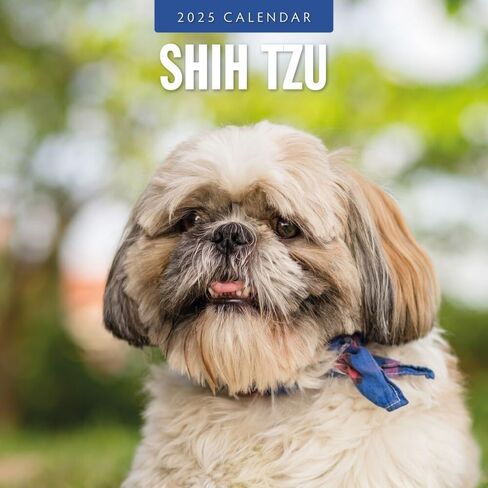 Red Robin 2025 Shih Tzu Monthly Wall Calendar | 12" x 24" Open | Premium Thick & Sturdy Paper | Hangable 12 Month Calendar | Plastic Free | 4 Month Transition Page for 2024 in Saudi Arabia