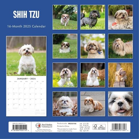 Red Robin 2025 Shih Tzu Monthly Wall Calendar | 12" x 24" Open | Premium Thick & Sturdy Paper | Hangable 12 Month Calendar | Plastic Free | 4 Month Transition Page for 2024 in Saudi Arabia
