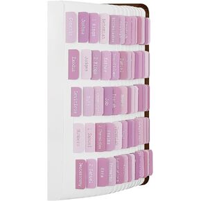 ZIEYOMI- Bible Tabs, Bible Journaling Supplies, Large Print Bible Tabs for Women and Men, 66 Bible Index Tabs Old and New Testament, Bible Accessories, Include 14 Blank Bible Book Study Tabs - Pink