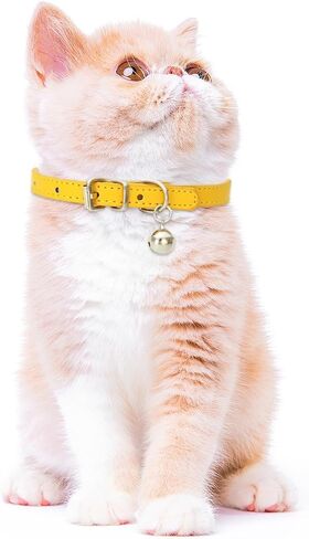 Dog Collar Durable Soft Natural Fabric Pet Dog Collar Cute Wedding Puppy Necklace for Small Medium Large Dog in Saudi Arabia