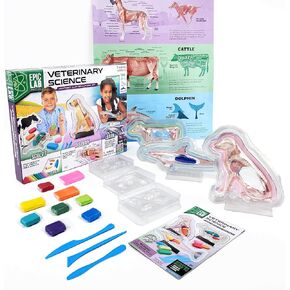 ArtSkills Epic Lab Vet Kit for Kids, Animal Anatomy Science Kit for Kids 8+ with Modeling Clay