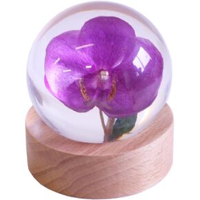 REALBUG Orchid Globe