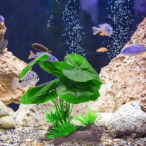 زينة شجرة اللبخ لحوض السمك الحريري، قطعتان من نبات الحرير الاصطناعي، أرجوحة وسادة أوراق البيتا، جلود سمكة ذهبية/نباتات الزواحف لعبة سمكة بيتا من خشب دريفت - A03 in Kuwait