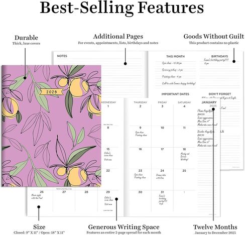 مخطط شهري كبير 2025 Color Swoops من TF PUBLISHING - صفحتان منتشرتان - شبكة تقويم كبيرة ومطالبات التخطيط - تقويم 12 شهرًا للمدرسة والعمل - مساحة للمجلة والملاحظات - 9 بوصة × 11 بوصة in Saudi Arabia