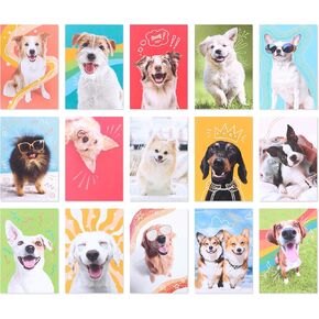 American Greetings Blank Cards and Envelopes Assortment Box, Funny Dogs, 15 count