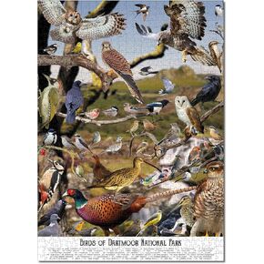 Bird Puzzles for Adults 1000 Pieces | Discover Birds of Dartmoor National Park - A 1000 Piece Puzzle for Adults | Gift for Nature, Wildlife and Bird Lovers | Jigsaw Puzzles 1000 Pieces for Adults