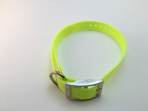 Sparky Pet Co - Purple, Roller Buckle 3/4" Replacement Collar - Compatible with Garmin, Delta, Dogtra, SportDOG, E Collar, Tri Tronics, Educator Style Compatible Systems, E Collar Systems in Kuwait