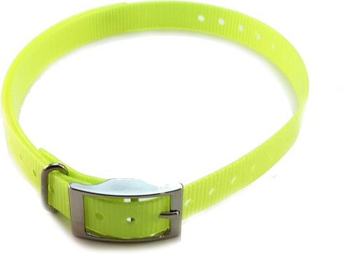Sparky Pet Co - Purple, Roller Buckle 3/4" Replacement Collar - Compatible with Garmin, Delta, Dogtra, SportDOG, E Collar, Tri Tronics, Educator Style Compatible Systems, E Collar Systems in Kuwait