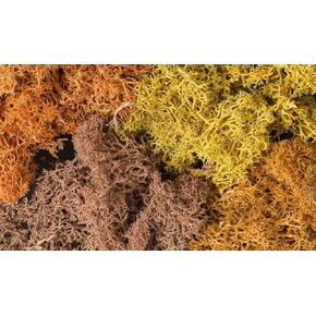 Lichen Bag, Autumn Mix/86.6 cu. in.