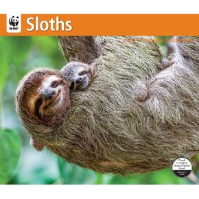 Calendar Ink, Sloths WWF 2025 Wall Calendar