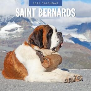 Red Robin 2025 Saint Bernards Monthly Wall Calendar | 12" x 24" Open | Premium Thick & Sturdy Paper | Hangable 12 Month Calendar | Plastic Free | 4 Month Transition Page for 2024